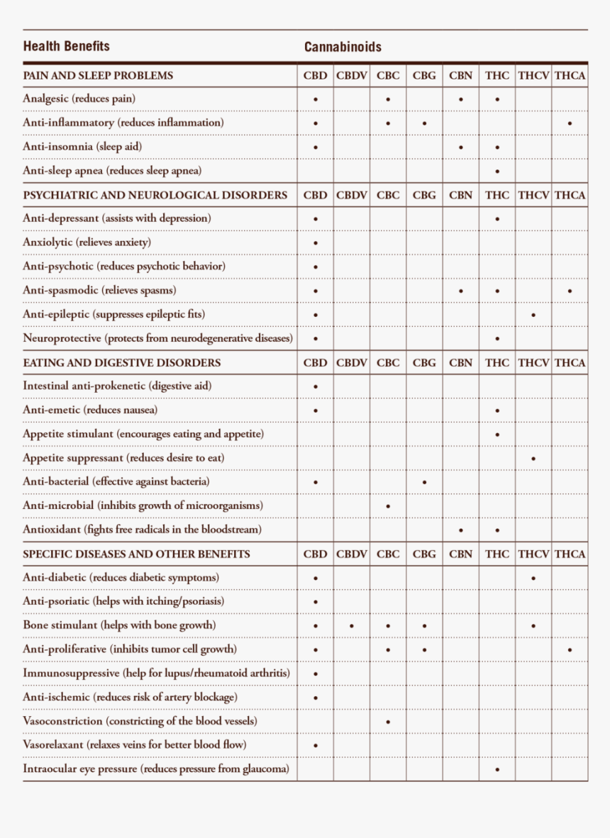 Document, HD Png Download, Free Download