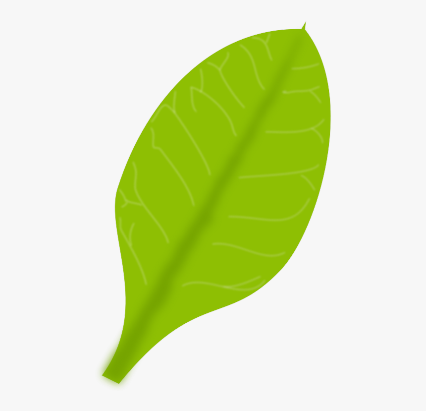 Green Leaf - Single Green Leaf Png, Transparent Png, Free Download
