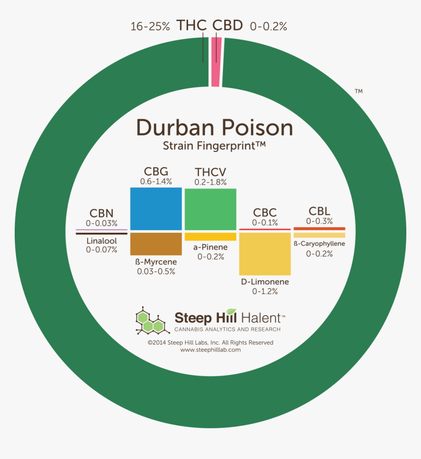Durban Poison Cannanbinoid Profile - Super Lemon Haze Terpenes, HD Png Download, Free Download
