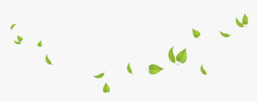 Green Leaves Transparent Background - Transparent Background Leaves Png, Png Download, Free Download