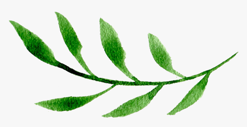 Green Leaf Two - Illustration, HD Png Download, Free Download