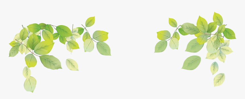 Transparent Png Leaf - Transparent Background Leaves Png, Png Download, Free Download