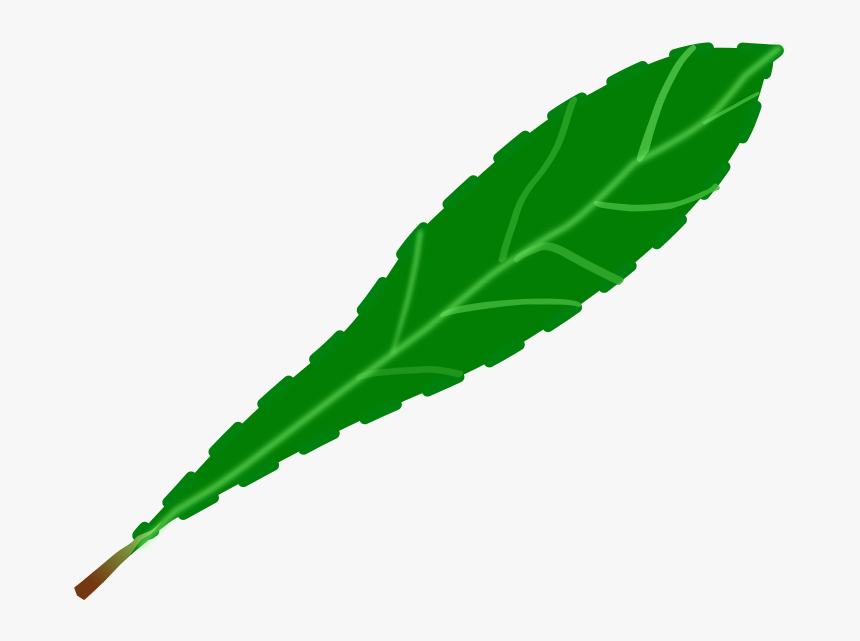 Drawing Leaf Computer Icons Green Watercolor Painting - Clip Art, HD Png Download, Free Download