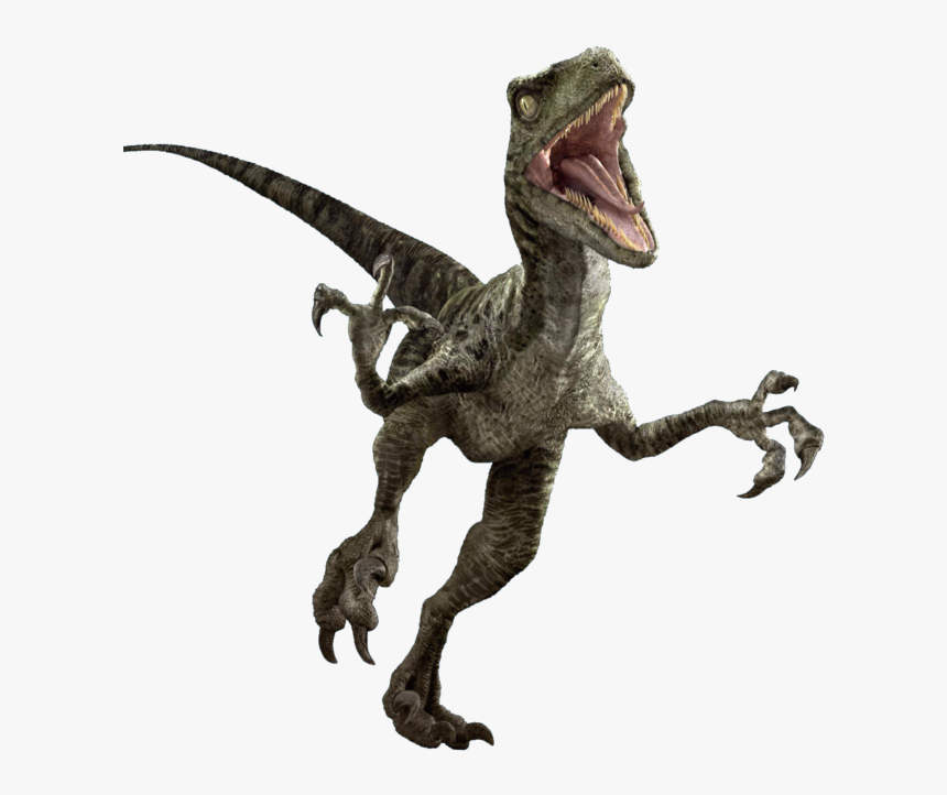 Jurassic World Dinosaur Png Png Download Jurassic World - Jurassic World Velociraptor Png, Transparent Png, Free Download