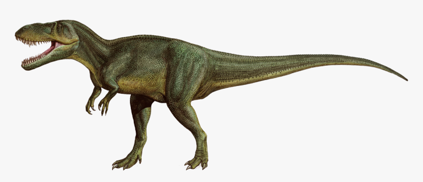 Sergey Krasovskiy Torvosaurus, HD Png Download, Free Download