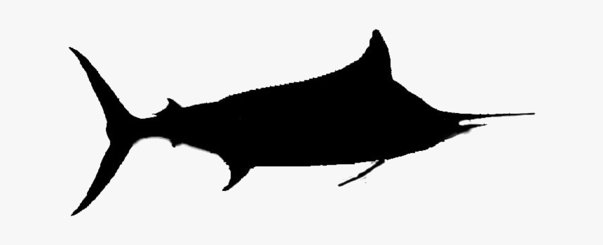 Transparent Blue Marlin Fish Drawing - Swordfish, HD Png Download, Free Download