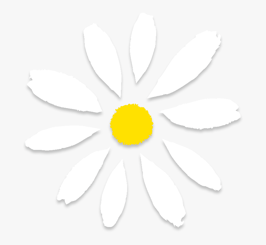 Orders Of $75 - Black-eyed Susan, HD Png Download, Free Download