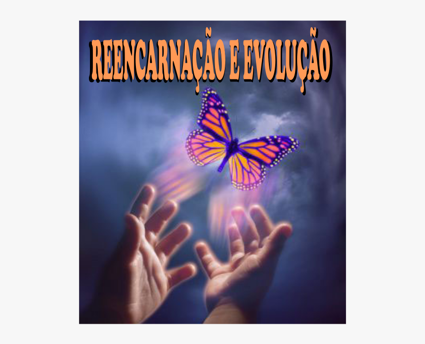Hands Setting Free Butterfly, HD Png Download, Free Download