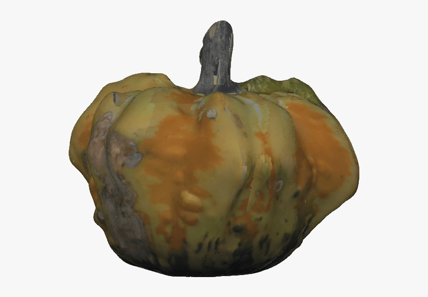 Pumpkin, HD Png Download, Free Download