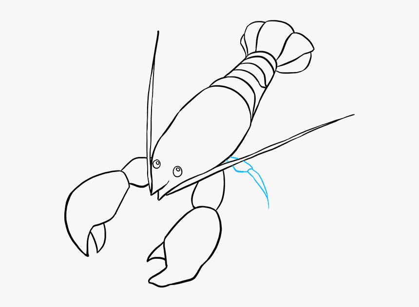 How To Draw Lobster - American Lobster, HD Png Download, Free Download