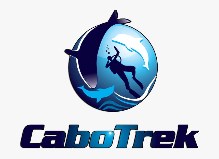 Whale Watching In Cabo With Cabo Whale Trek - Cabo Trek, HD Png Download, Free Download