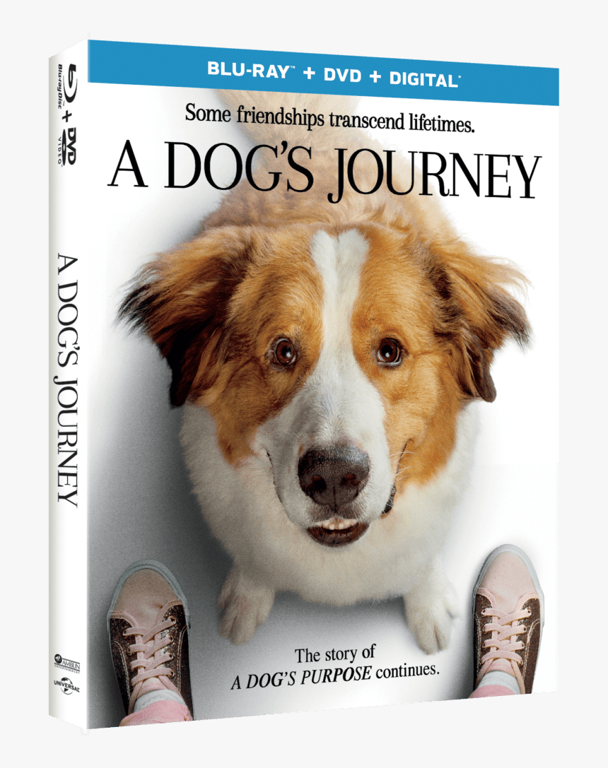 A Dog’s Journey - Dog's Journey 2019 Bluray, HD Png Download, Free Download