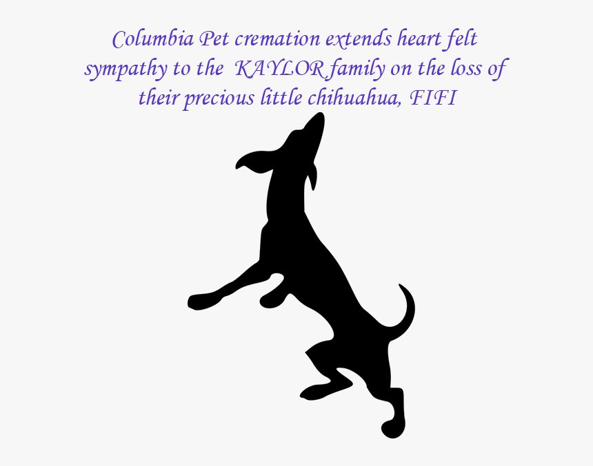 Italian Greyhound Run Illustration, HD Png Download, Free Download