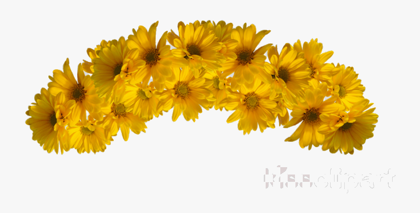 Flower Crown Garland Yellow Cliparts Transparent Png - Yellow Flower Crown Png, Png Download, Free Download