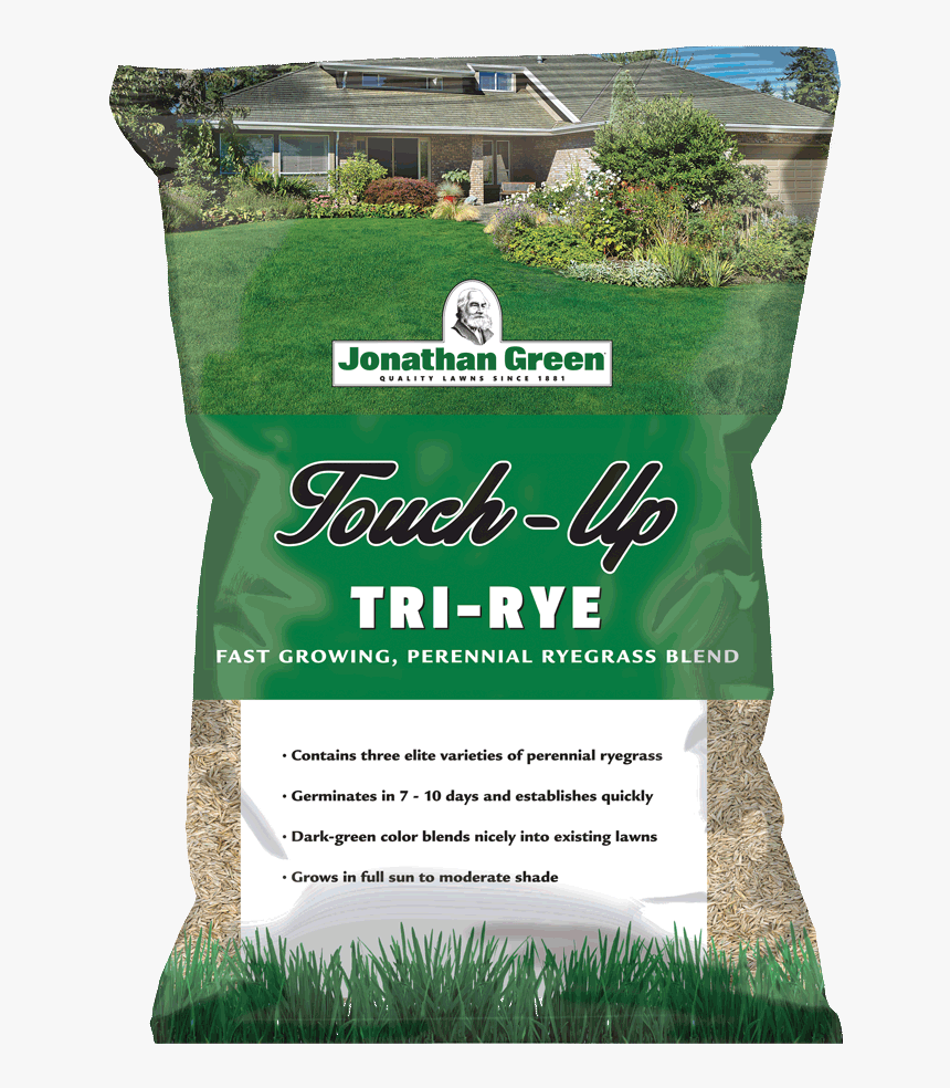 Grass, HD Png Download, Free Download