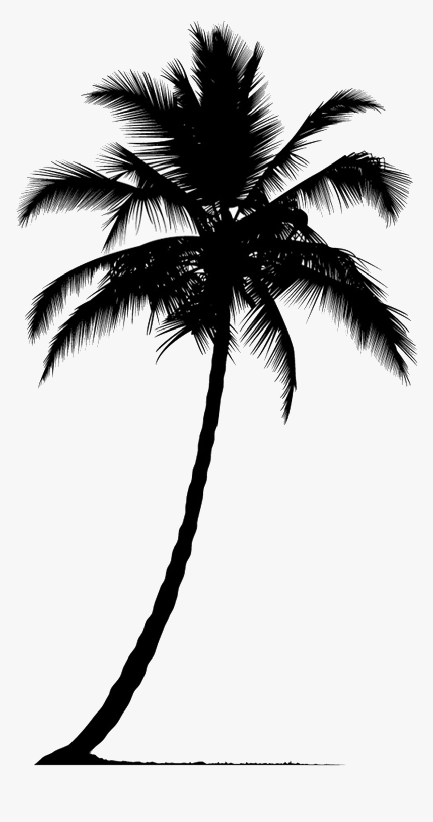 Transparent Palm Tree Silhouette Png, Png Download, Free Download