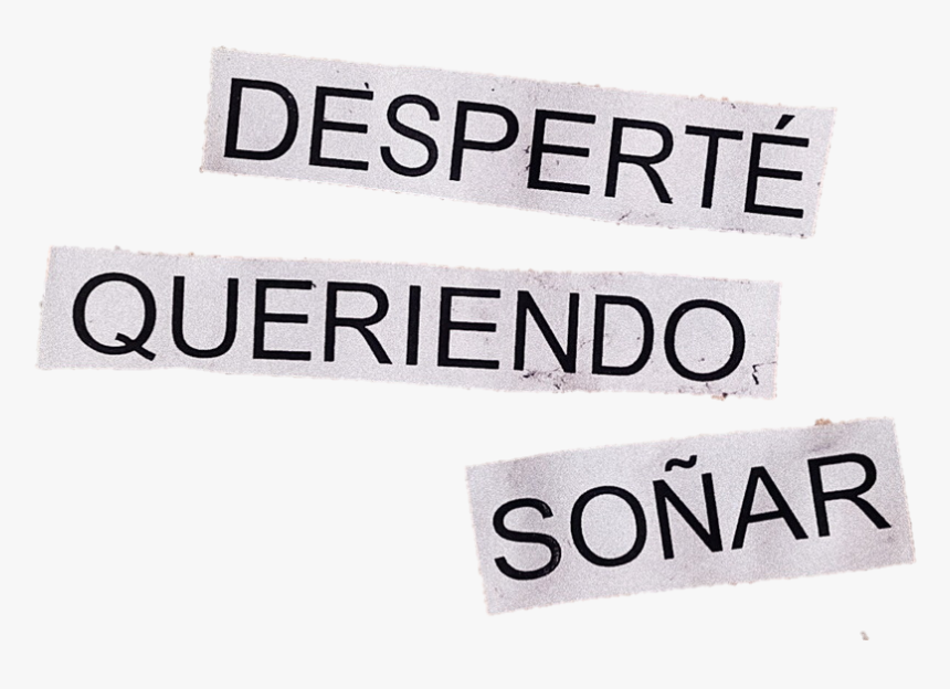 #dreams #sonhar #branco #text #tumblr #collage #colagem - Magliette Strane, HD Png Download, Free Download