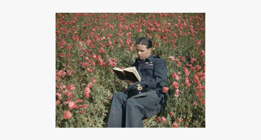 Reading The Poetry Of War - Guy Gibson, HD Png Download, Free Download