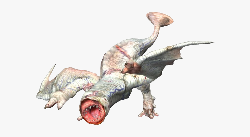 Hey, Look, A Lickizard, HD Png Download, Free Download