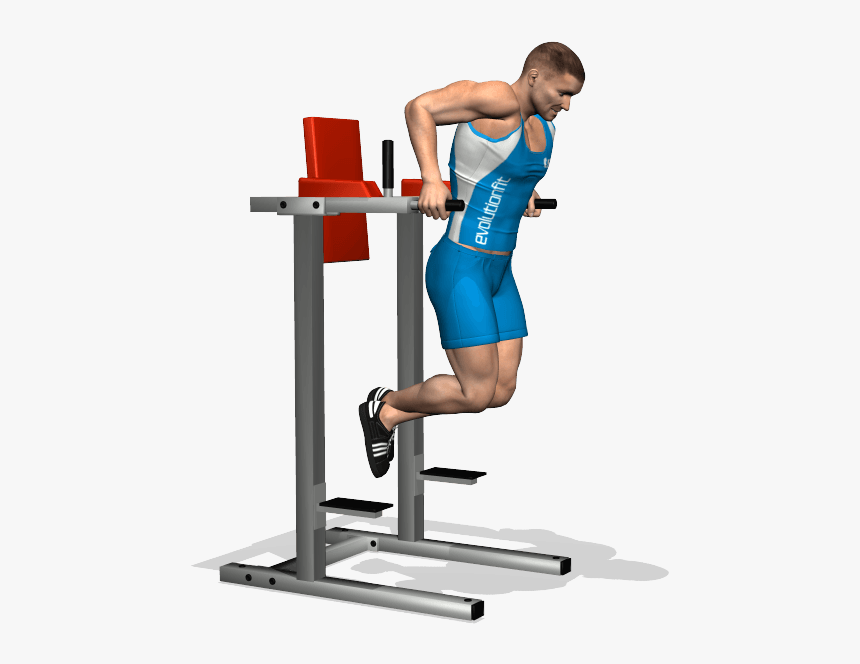 Dips For Chest - Exercise For The Whole Arm, HD Png Download, Free Download