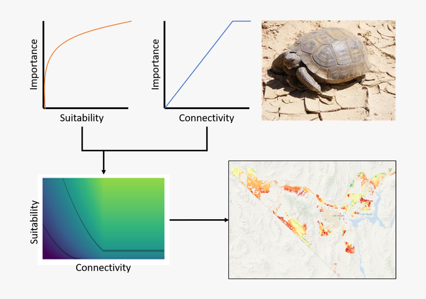 Desert Animals, HD Png Download, Free Download