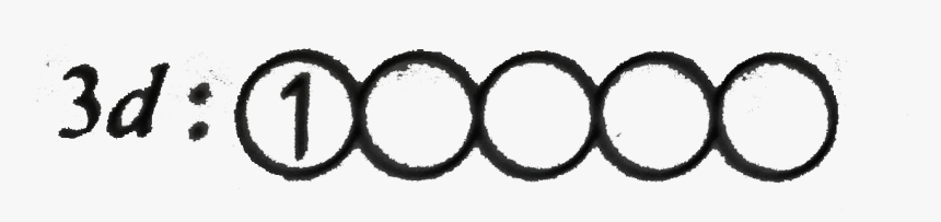 Sketch, HD Png Download, Free Download