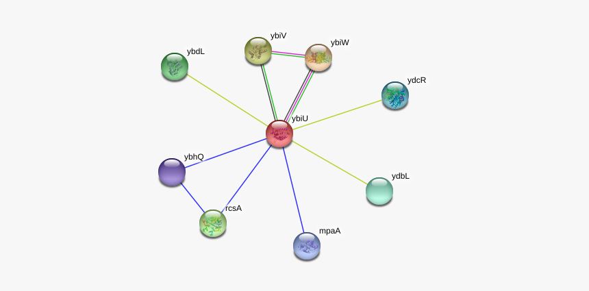 Ybiu Protein - Circle, HD Png Download, Free Download