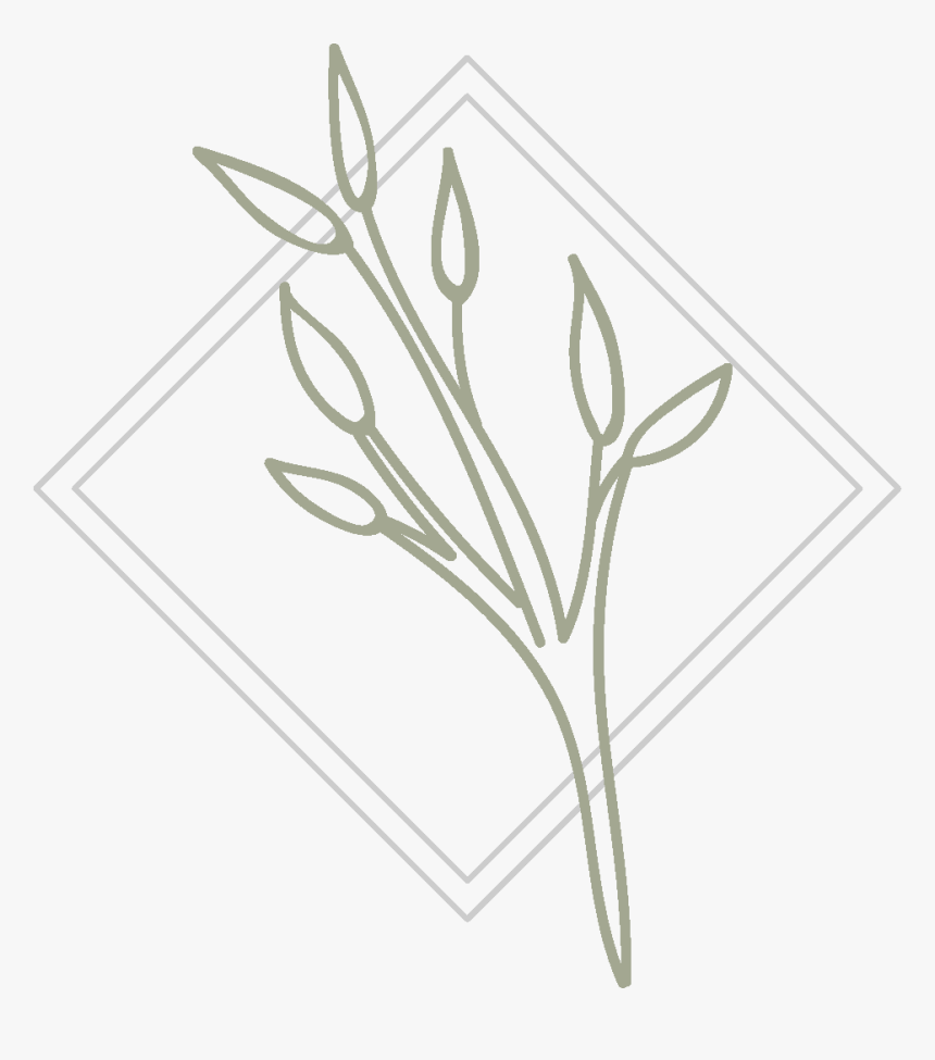Jo Icon 1 - Sketch, HD Png Download, Free Download