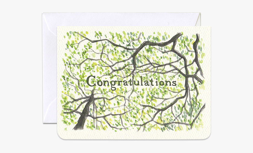 Congratulations Gleditsia Mini Card, HD Png Download, Free Download