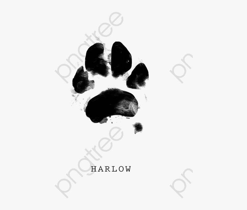 Dog Paw Png Watercolor Dog Paw Png Watercolor - Illustration, Transparent Png, Free Download