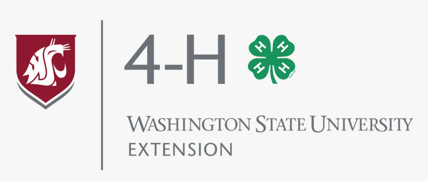4 H Clover, HD Png Download, Free Download