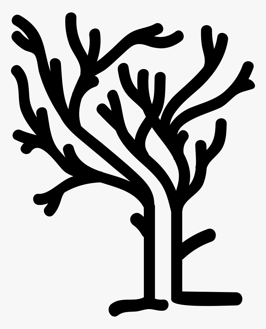 Tree Of Irregular Shape Branches On Winter Without - Tree Branches Without Leafs, HD Png Download, Free Download