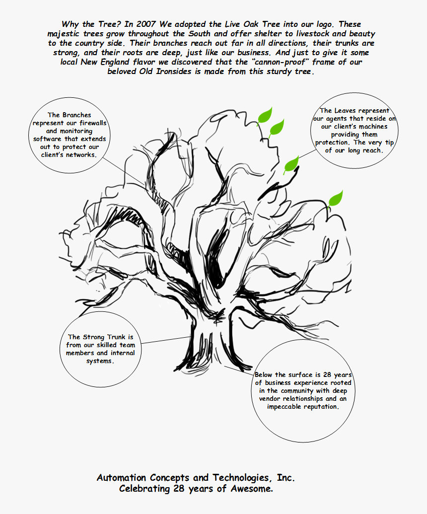 Why The Tree - Cartoon, HD Png Download, Free Download