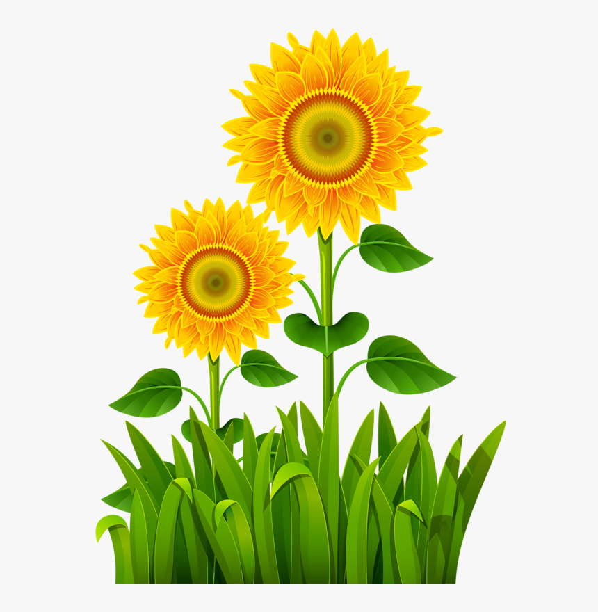 Flower Pictures, Flower Art, Clip Art, Farms, Paintings, - Cartoon Transparent Green Grass, HD Png Download, Free Download