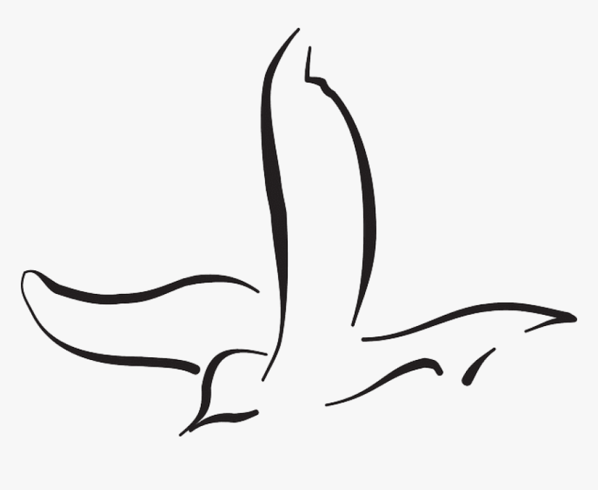 Free Png Download Flying Bird Line Drawing Png Images - Bird Flying Sketch Png, Transparent Png, Free Download