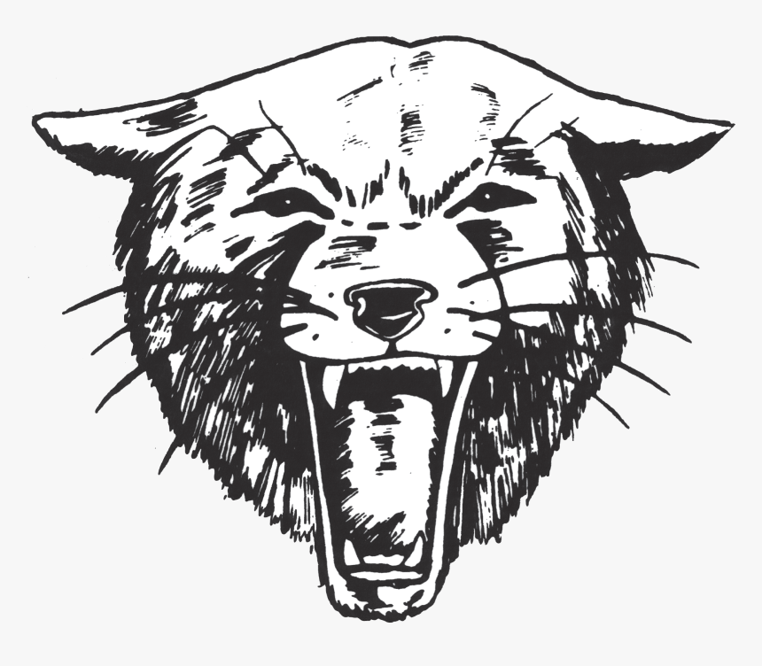 Paso Robles Football And Swim Coaches Let Go - Paso Robles High School Bearcat, HD Png Download, Free Download