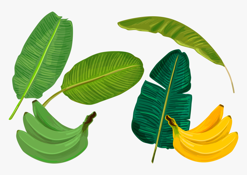 Banana Leaf Sadhya Transprent Png Free Download - Banana Leaf Illustration, Transparent Png, Free Download