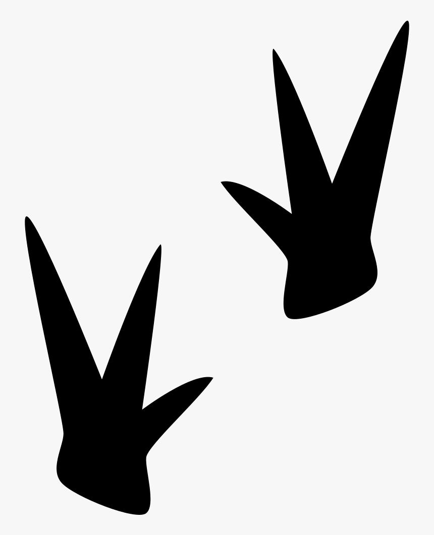 Birds, HD Png Download, Free Download