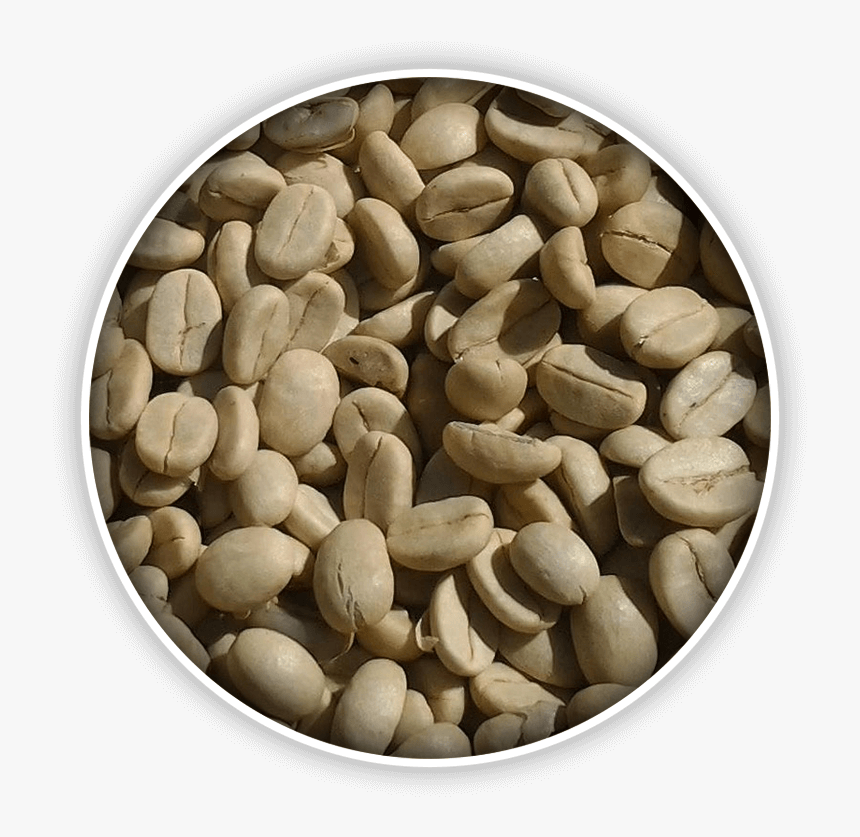 Serve Your Customers The Freshest Coffee - Seed, HD Png Download, Free Download