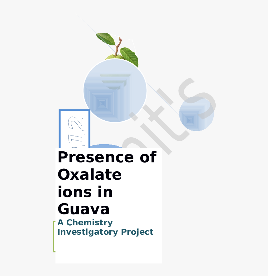 Guava Fruit, HD Png Download, Free Download