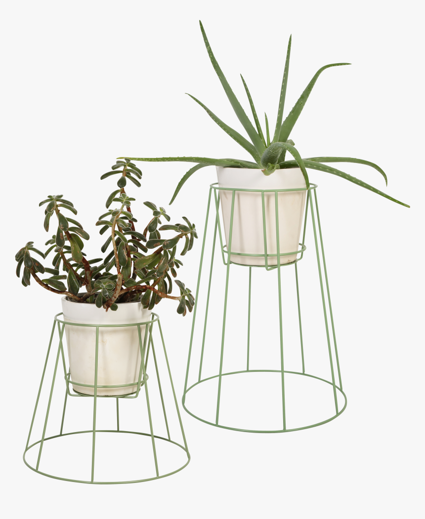 Plant Stand Cibele - Ok Design Cibele Plant Stand Pflanzenständer Ok, HD Png Download, Free Download