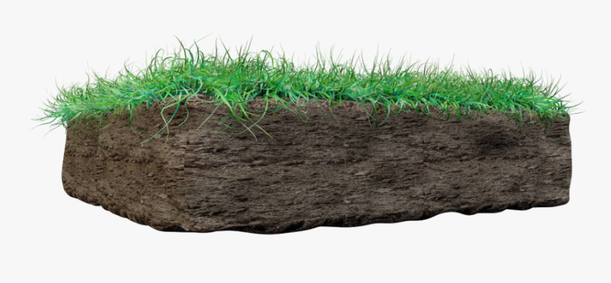 Grass On Mud Png Image - Soil, Transparent Png, Free Download