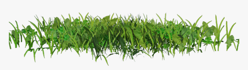 Transparent 3d Grass Png, Png Download, Free Download