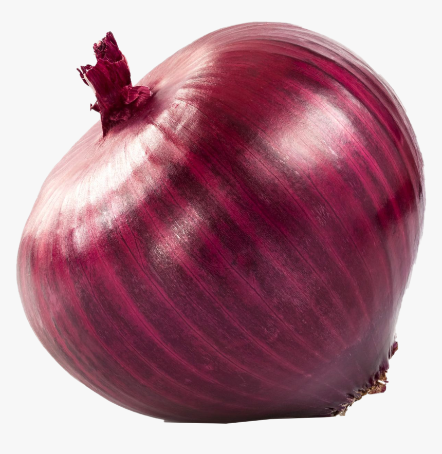 Transparent Background Onion Png, Png Download, Free Download