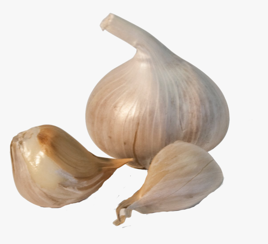 Garlic Png Transparent Images - Garlic Png Transparent, Png Download, Free Download