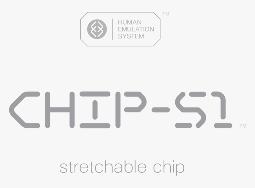 01 Official Branding Gray Chip S1 1 - Parallel, HD Png Download, Free Download