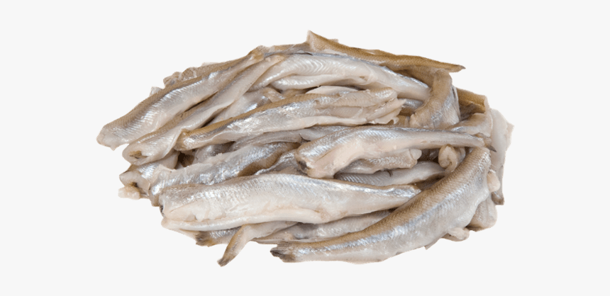 Soused Herring, HD Png Download, Free Download