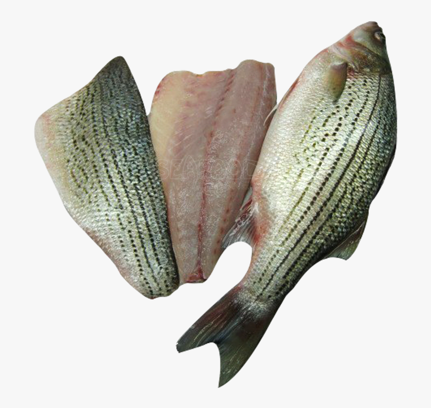 Basa Fish Canada, HD Png Download, Free Download