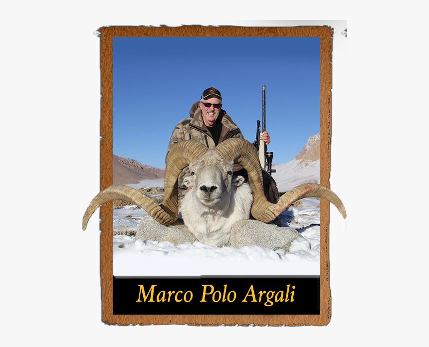 Your Next Adventure Begins Here - Largest Marco Polo Sheep, HD Png Download, Free Download