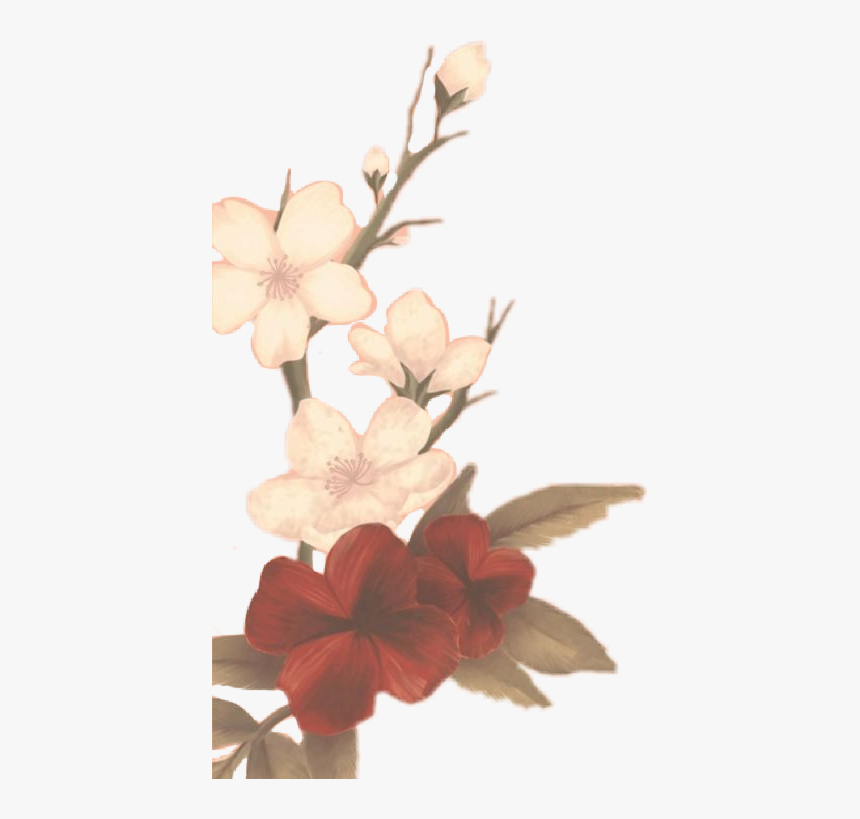 #flower#sm3iscoming #sm3 #shawnmendes #mendesarmy #freetoedit - Shawn Mendes Lost In Japan Flowers, HD Png Download, Free Download